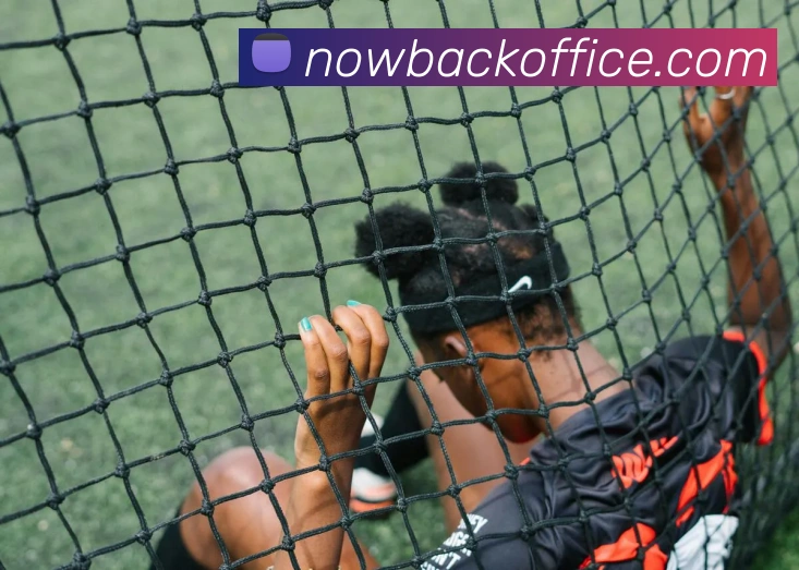 App Interface Preview